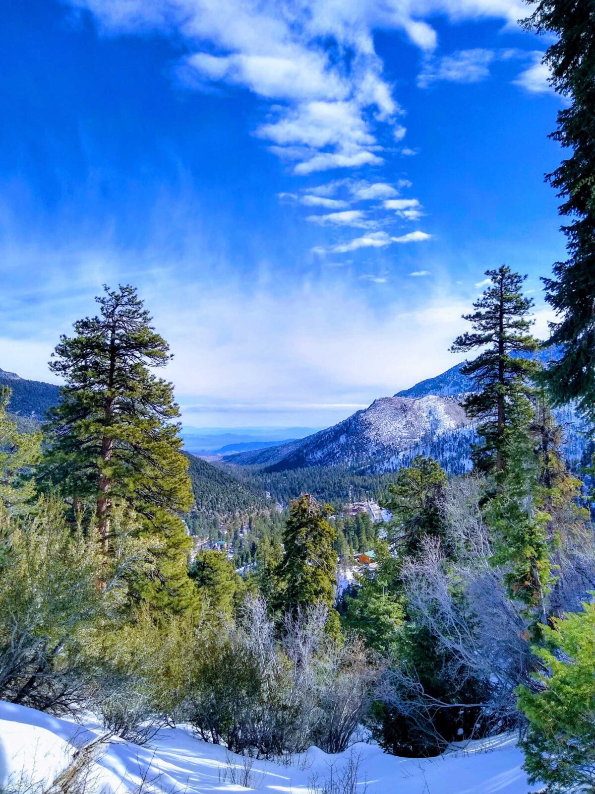 Nieve en Las Vegas, Mount Charleston y Lee Cañón